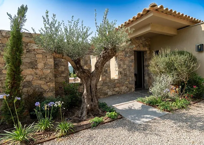 Villa Vue Mer, A Pieds, Golfe De St Tropez *